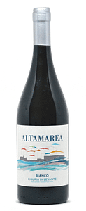 Our Wines liguria di levante bianco